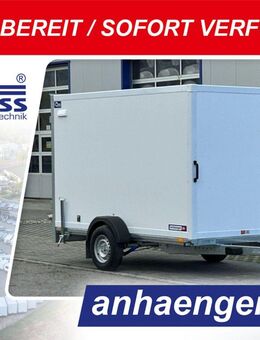 Blyss Kofferanhänger 305x150x180cm 1300kg zGG - Dorsten