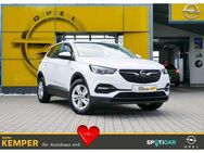 Opel Grandland X 1.5 D Edition *LED*SHZ* - Meppen