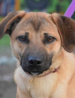 Nady - fröhlich & freundlich - Lohmar