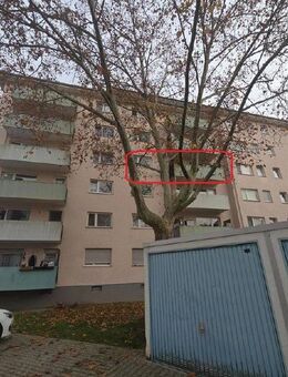 Singles/ Paare aufgepasst: Attraktive Wohnung mit eigenem Stellplatz in Rüsselsheim/ Haßloch - Rüsselsheim