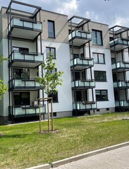 Licht. Luft. Leben. - Moderne Wohnung mit Wohlfühlfaktor in Vorsfelde! - Wolfsburg