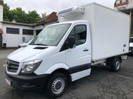 Mercedes-Benz Sprinter 313 CDI Kühlkoffer Pritsche THERMO KING - Kassel