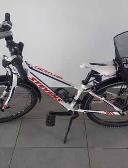 Stevens 24 Zoll Fahrrad - Landau (Pfalz)