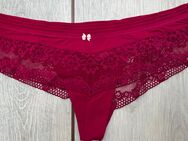 Panty/Slip von Esprit Gr. 36 magenta Spitze - Norden