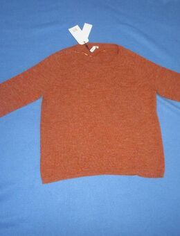 NEU mit allen ETIKETT * Klassisch * Herren oder Damen * Unisex * Wolle * Feinstrick * Pullover "Q/S * S.Oliver" Original * Gr. 48- 52/ M- L * terra-cotta * - Riedlingen