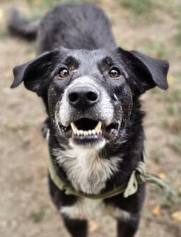 Spiky - Menschenbezogen & aufgeschlossen - Berlin