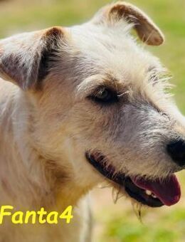 Fanta4 sozial & menschenbezogen 7/22 ESP - Ruppertsecken