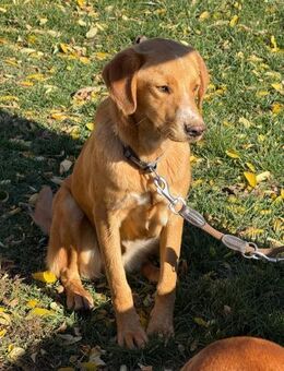 Ich heiße Löri ... - Frankfurt (Main)