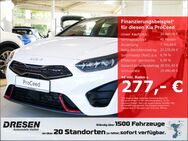 Kia pro cee'd, 1.6 GT T DCT7, Jahr 2023 - Bonn
