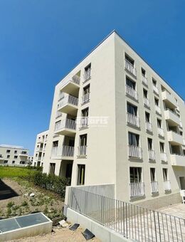 antaris Immobilien GmbH **3-Zimmer-Wohnung am Steigereck - mit Loggia,Wannenbad und Gäste-WC** - Erfurt