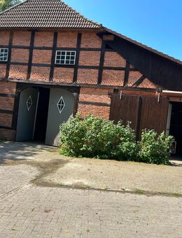 Boxen frei in Dötlingen - Dötlingen