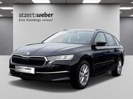 Skoda Octavia, 1.5 TSI Combi Selection, Jahr 2024 - Schlüchtern