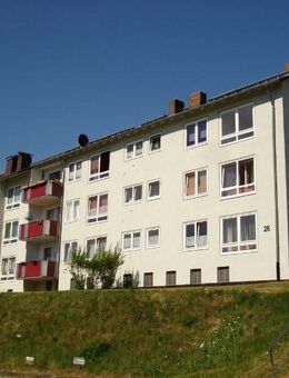 Wohnen im frisch modernisierten Haus im Grünen! - Kassel