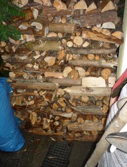 Brennholz Kaminholz Fichte Föhre Eiche ca.20-25 cm Trocken sofort zu heizen Bioholz - Neunkirchen (Sand)