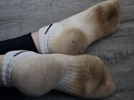 Suche getragene Damensocken/Nylons - Oberhausen