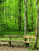 Freundschaften gesucht in 04425