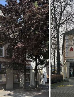 Sarstedt-Innenstadt: Attraktives Wohn- und Geschäftshaus - Sarstedt
