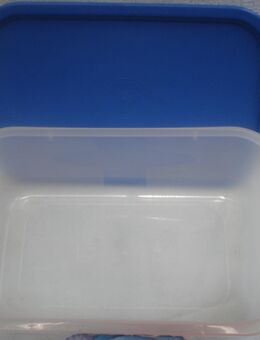 Dose Kunststoff 30 x 18,8 x 12cm. - Friedrichsdorf