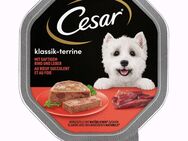 Megapack Cesar Schale 28 x 150 g - Klassiker Rind und Leber