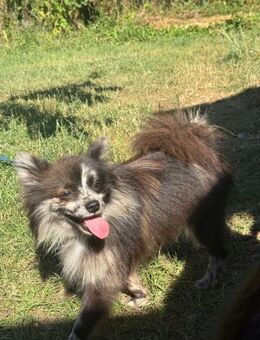 Railey ❤️ - Burgsinn