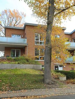 Traumhaft Wohnen in Innenstadtnähe - exklusive Ausstattung - energieeffiziente Technik - Gifhorn