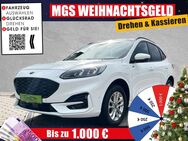 Ford Kuga, Plug-In Hybrid ST-Line # #, Jahr 2022 - Bayreuth