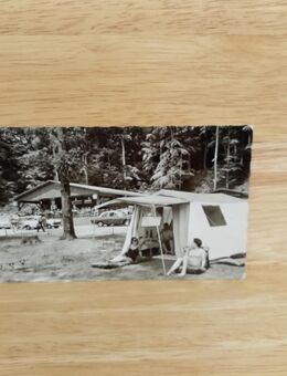 Ansichtskarte-AK-515-Campingplatz Laacher-See-Maria Laach über Andernach/Rhein. - Nörvenich
