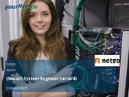 (Senior) System-Engineer (m/w/d) - Warendorf