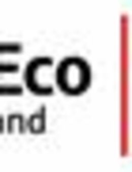 Senior Manager (m/w/d) Sustainable Transformation - Düsseldorf
