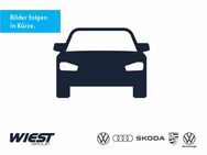 VW Caddy, 2.0 l TDI Maxi Trendline, Jahr 2019 - Darmstadt