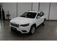 Jeep Cherokee 2,2 M-Jet Longitude LED Sound PTS - Heidenheim (Brenz)