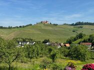 Freistehendes EFH neu renoviert mit sensationellen Aussichten von allen Seiten - Durbach