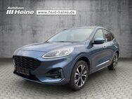 Ford Kuga, 2.5 Duratec ST-LINE X, Jahr 2022 - Marienmünster