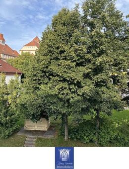 Charmante Singlewohnung mit viel Platz ... Balkon ... Abstellraum ... Stellplatz! - Bischofswerda
