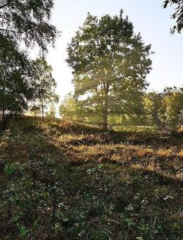 Naturnah an der Dresdner Heide leben mit Balkon & Tageslichtbad! - Radeberg