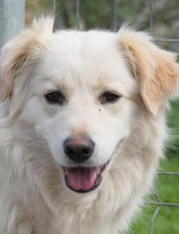 schüchterne WANI sucht Vertrauen - Kallmünz