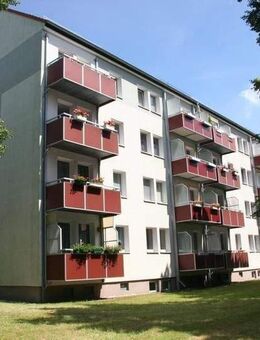 Einfach Klasse! Halbes Jahr-halbe (Kalt) Miete - Chemnitz