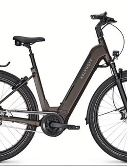 E-bike Raymon Metmo Waverahmen in S M und L 1000€ Reduziert Neu mit Garantie Bosch Akku 600 Wh - Bergheim (Nordrhein-Westfalen)