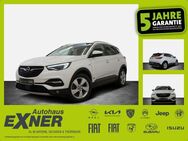 Opel Grandland X 1.6Turbo Hybrid ELEGANCE *Navi*LED - Hof