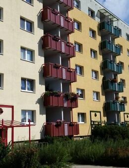 ++ 3 Zimmer mit EBK zum Wohlfühlen ++ - Stralsund