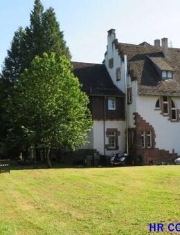 *** HISTORISCHE VILLA, GÄSTEHAUS UND BAUGRUND FÜR MFH IN BESTLAGE VON LAHR *** - Lahr (Schwarzwald)