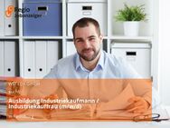 Ausbildung Industriekaufmann / Industriekauffrau (m/w/d) - Flensburg