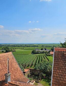 Denkmalgeschütztes ehemaliges Winzeranwesen mit einzigartigem Blick in die Rheinebene - Gleisweiler