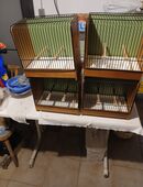 Vogelkäfige in 67069