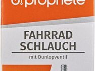 Prophete Fahrradschlauch Fahrradschlauch, 24 Zoll (60,96 cm)
