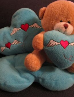 Teddy Plüschtier - Weichs