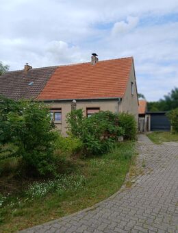 Provisionsfreier, idylischer,rustikal, modern sanierter Oderbruchhof mit Blick aufs Land - Neutrebbin