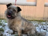 Bist du bereit für Monji ? - München
