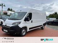 Opel Movano, 2.2 HKa L3H2 t Edition, Jahr 2022 - Völpke