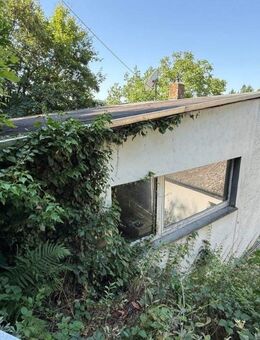 Eppstein: Leben unterhalb des Kaisertempels. Packen Sie es an und schaffen sich ein neues Zuhause! - Eppstein